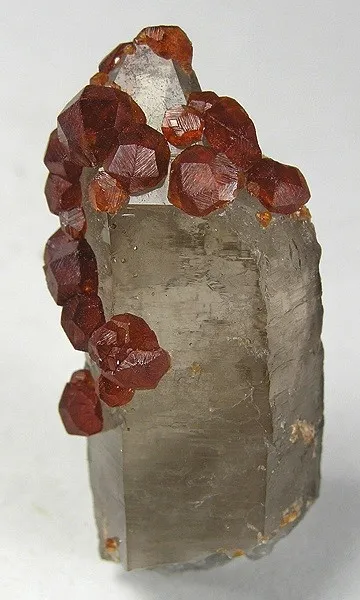 Spessartine, Quartz (Var: Smoky Quartz) image