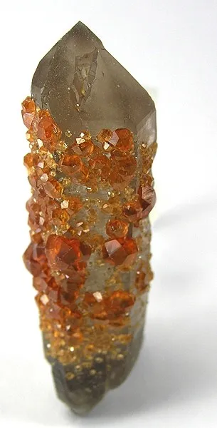 Spessartine, Quartz (Var: Smoky Quartz) image