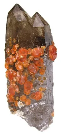 Spessartine, Quartz (Var: Smoky Quartz) image