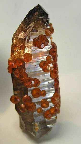 Spessartine, Quartz (Var: Smoky Quartz) image