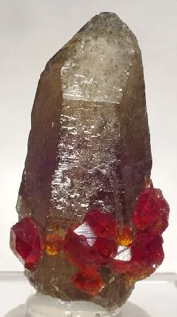 Spessartine, Quartz (Var: Smoky Quartz) image
