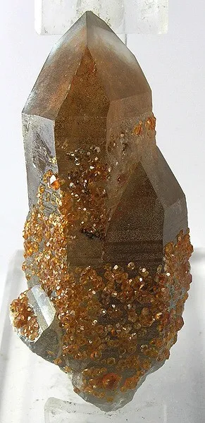 Spessartine, Quartz (Var: Smoky Quartz) image