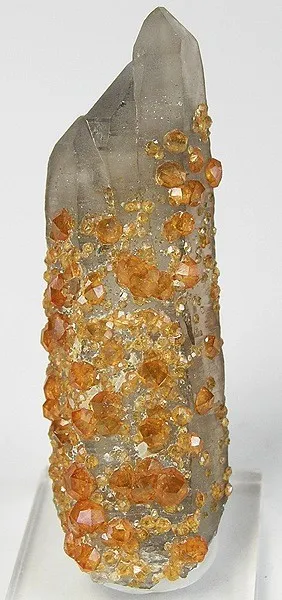 Spessartine, Quartz (Var: Smoky Quartz) image