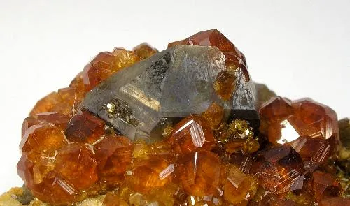 Spessartine, Quartz (Var: Smoky Quartz) - image 3
