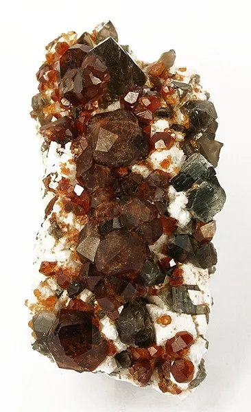 Spessartine, Quartz (Var: Smoky Quartz), Muscovite image