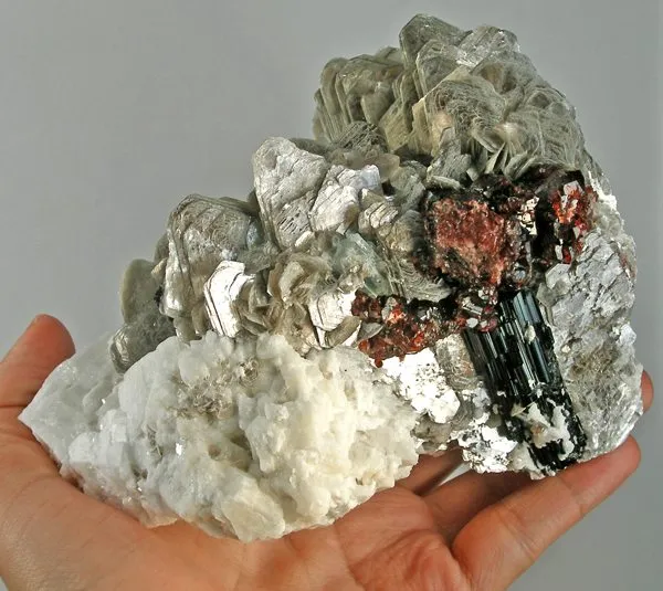 Spessartine, Schorl, Muscovite, Albite, Beryl (Var: Aquamarine) image