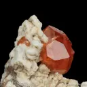 Spessartine with Albite and Muscovite - image 1