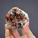 Spessartine with Fluorite on Muscovite and Microcline - image 2