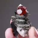 Spessartine with Muscovite - image 2