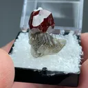 Spessartine with Muscovite - image 2