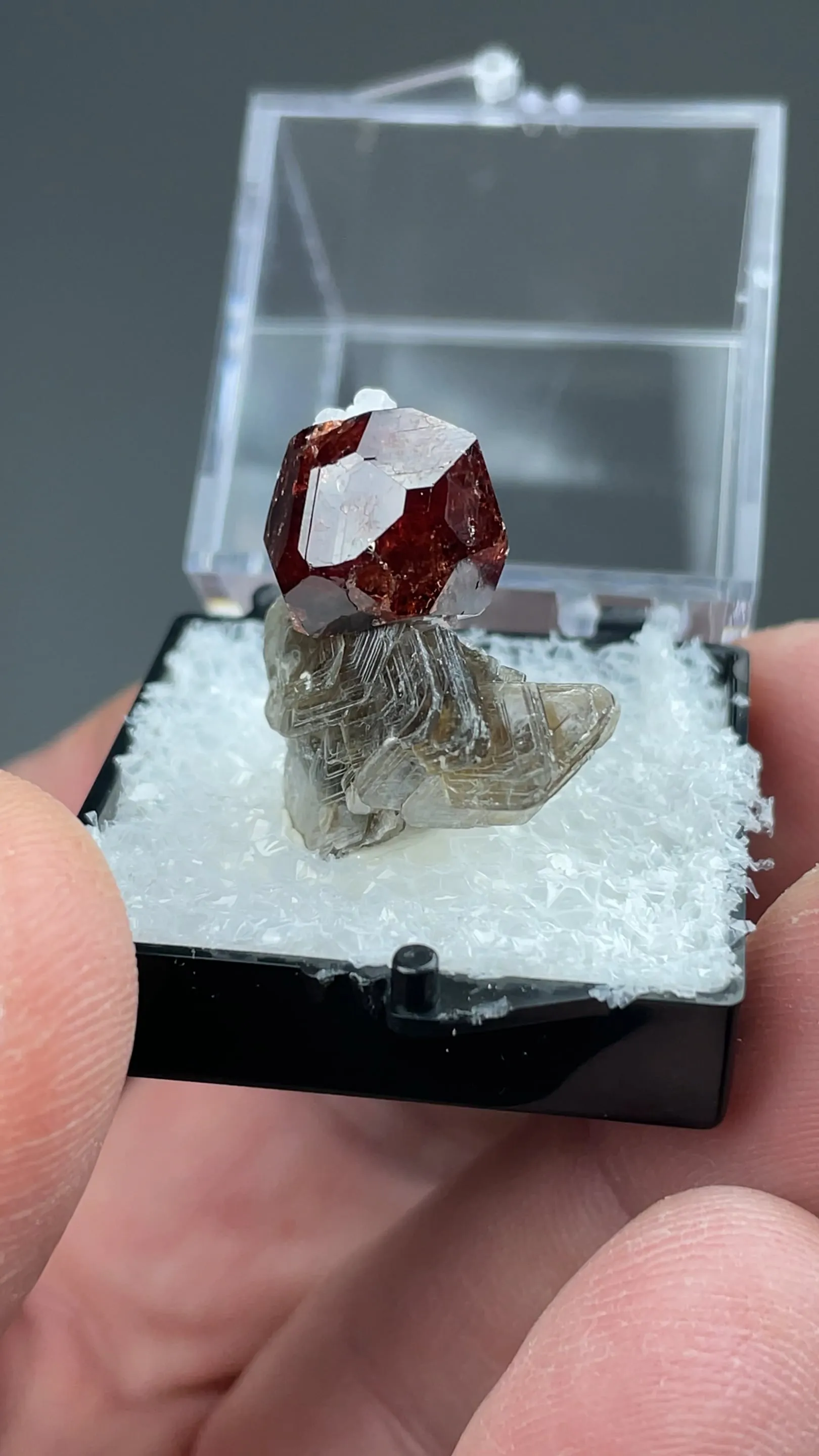 Spessartine with Muscovite - image 2