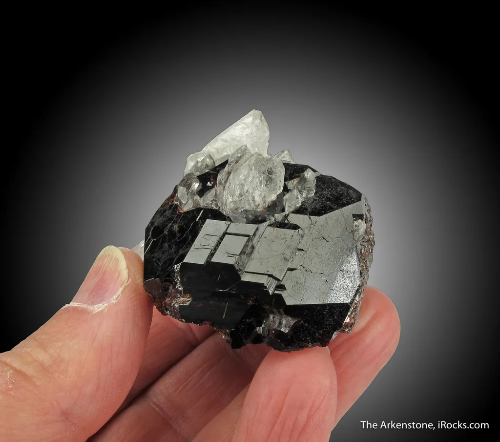 Spessartine with Quartz image