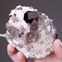 Spessartine with Quartz and Feldspar - image 2