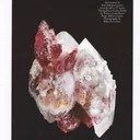 Spessartine with Quartz (illustrated) - image 4