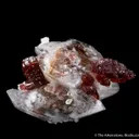 Spessartine with Quartz (illustrated) - image 3