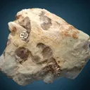Spessartine with Quartz var. Smoky on Albite var. Cleavelandite - image 3