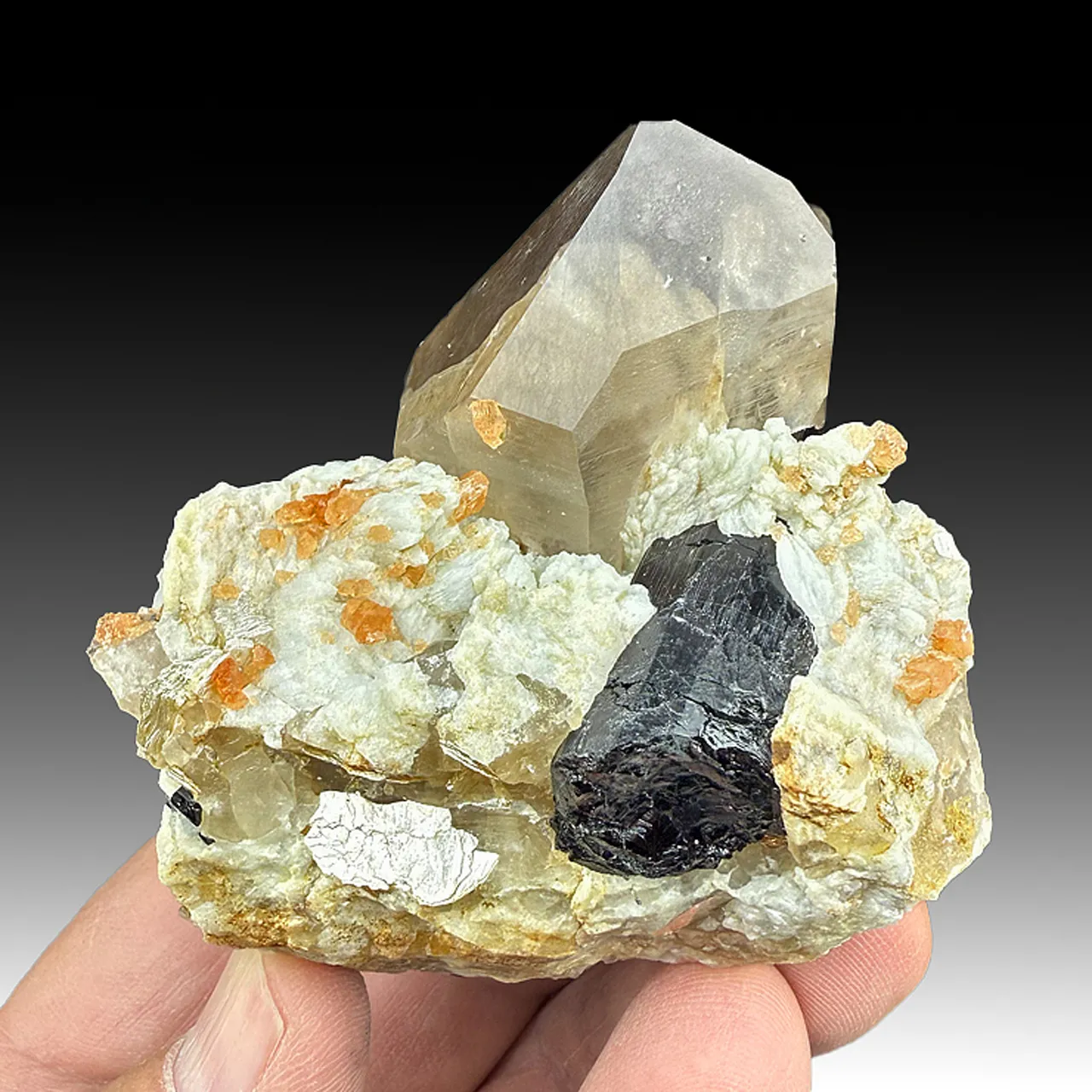Spessartine with Schorl, Albite, Quartz - image 1
