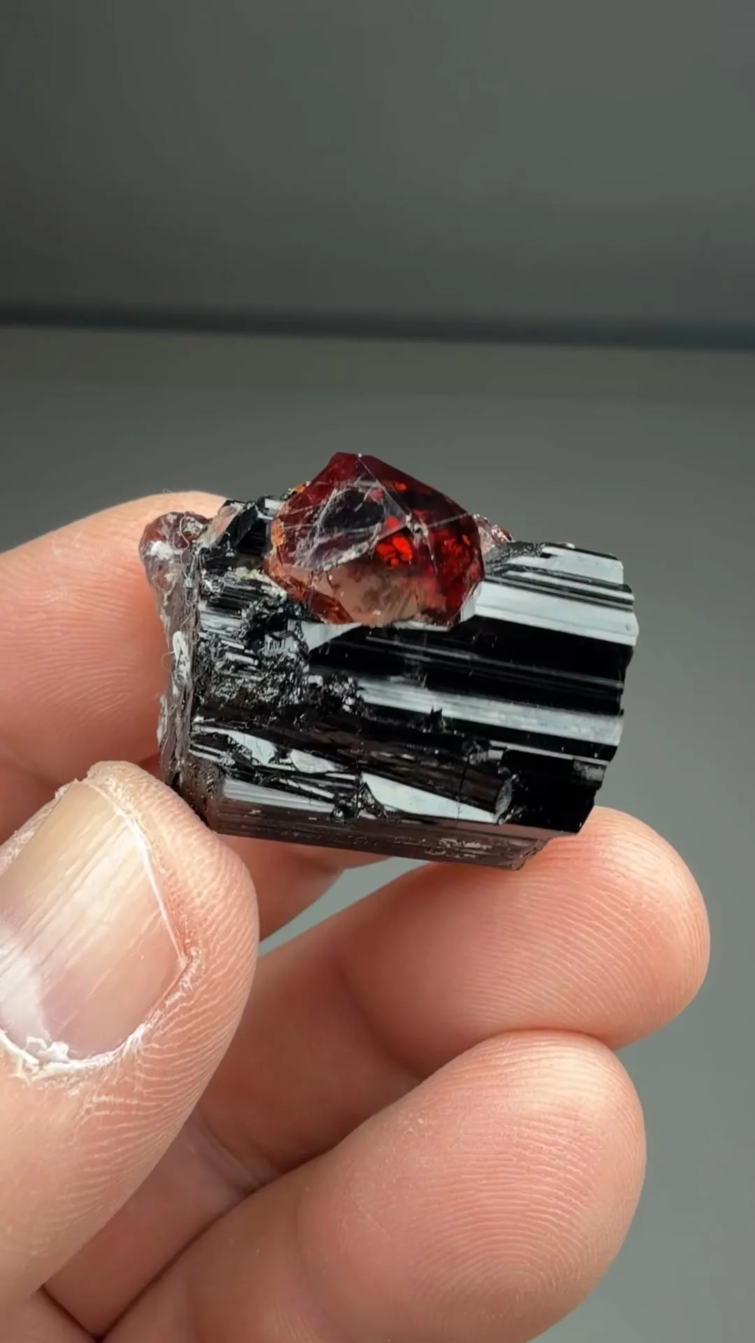 Spessartine with Schorl - image 2