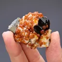 Spessartine with Smoky Quartz and Muscovite - image 2