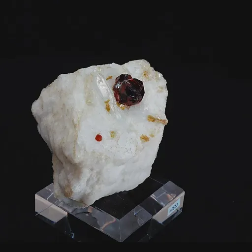specimen video
