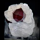 Spessartite Garnet on Mica - image 2