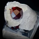 Spessartite Garnet on Mica - image 5
