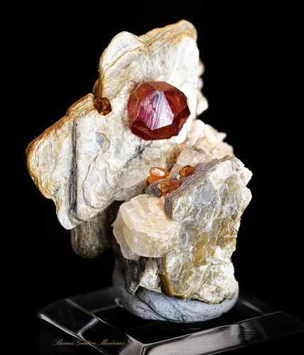 Spessartite Garnet on Muscovite - image 3