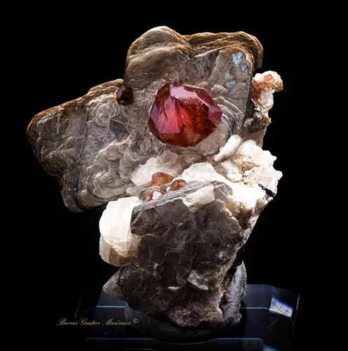 Spessartite Garnet on Muscovite image