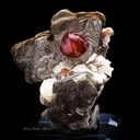Spessartite Garnet on Muscovite - image 1
