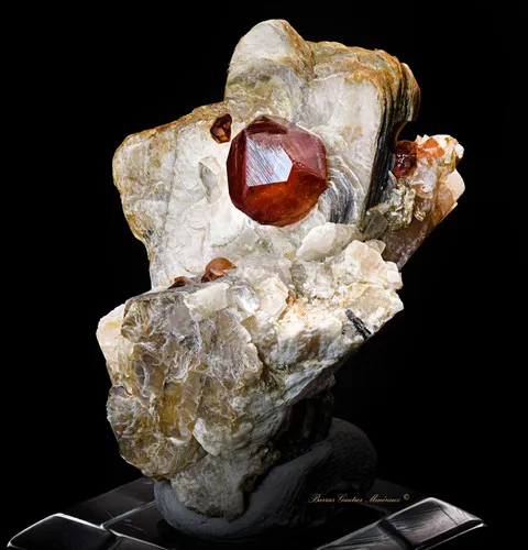 Spessartite Garnet on Muscovite - image 4