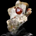 Spessartite Garnet on Muscovite - image 4