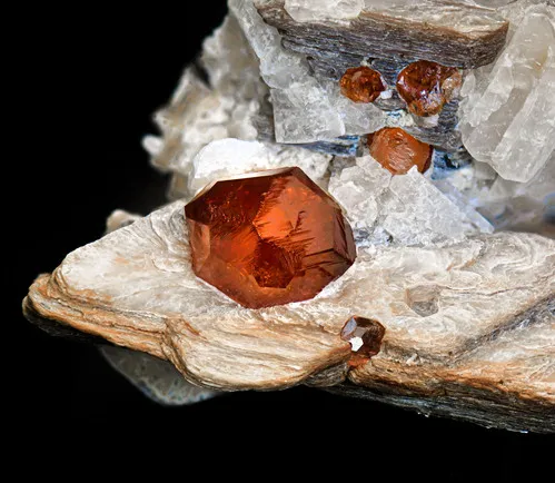 Spessartite Garnet on Muscovite - image 5