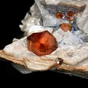 Spessartite Garnet on Muscovite - image 5