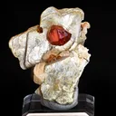 Spessartite Garnet on Muscovite - image 2