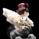 Spessartite Garnet on Orthoclase - image 2