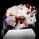 Spessartite Garnet on Quartz -Orthose - image 4