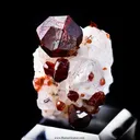 Spessartite Garnet on Quartz -Orthose - image 1