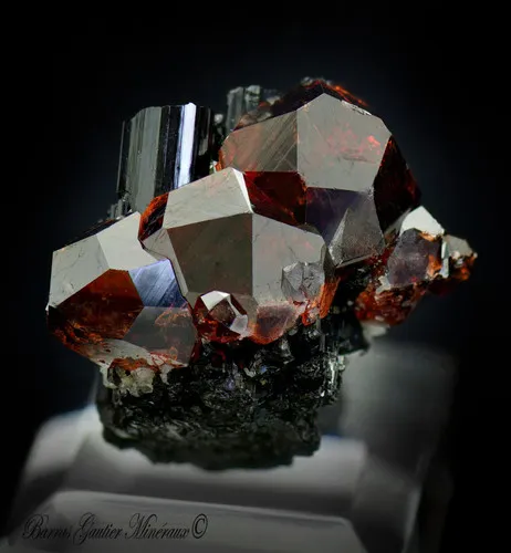 Spessartite Garnet on Tourmaline Schorlite image
