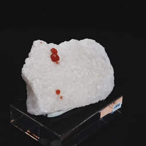 specimen video
