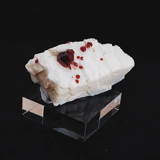 specimen video