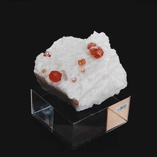 specimen video