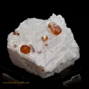 Spessartite Garnet - Orthoclase - image 1