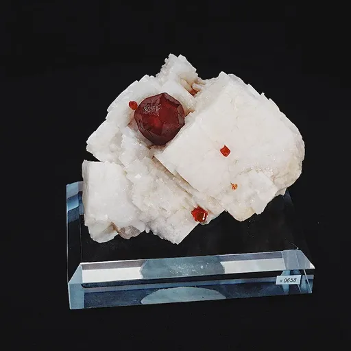 specimen video