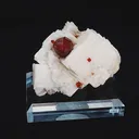 specimen video