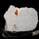Spessartite Garnet - Orthoclase - image 1