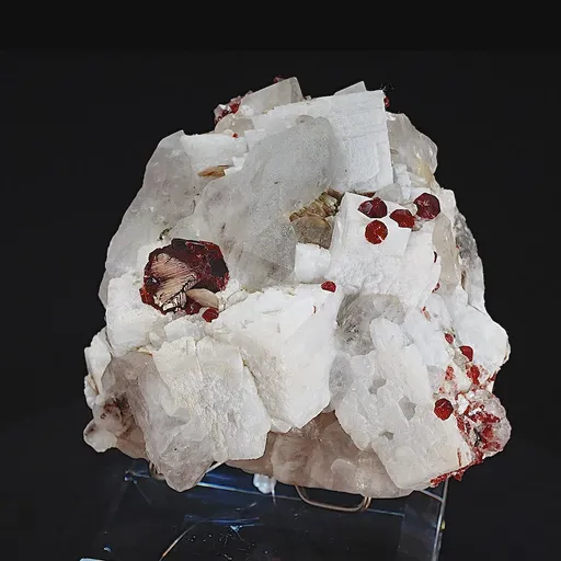 specimen video