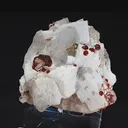specimen video