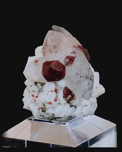 specimen video