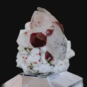 specimen video