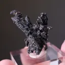 Sphalerite and Acanthite on NATIVE Silver - image 2